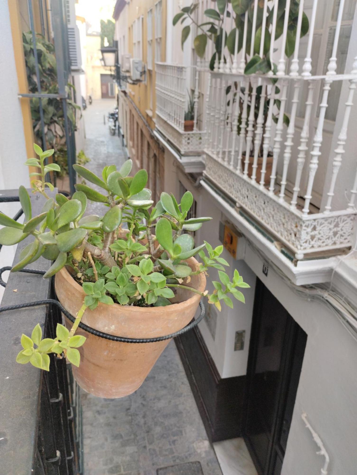 Lanza En El Corazon De Appartement Sevilla